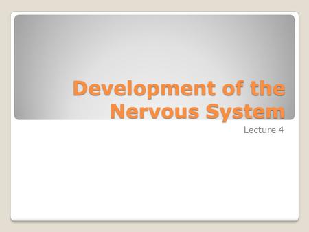 Development of the Nervous System Lecture 4. Objectives 1. Describe the processes: 1.Formation of the embryonic disc 2.Formation of the neural tube 3.Formation.