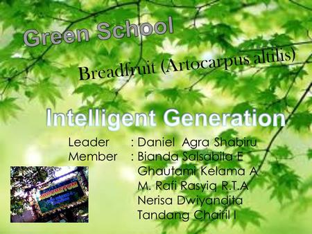 Breadfruit (Artocarpus altilis) Leader : Daniel Agra Shabiru Member: Bianda Salsabila E Ghautami Kelama A M. Rafi Rasyiq R.T.A Nerisa Dwiyandita Tandang.