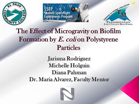  Bacterial biofilms are communities of bacteria surrounded with a slime-like substance that creates a protective shield and makes them resistant to a.