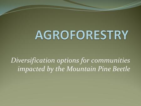 Diversification options for communities impacted by the Mountain Pine Beetle.