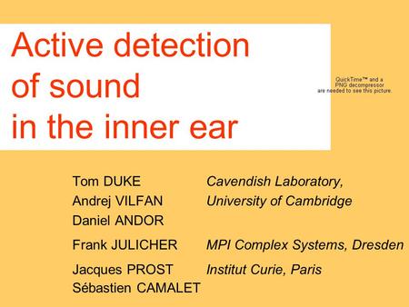 Active detection of sound in the inner ear Tom DUKE Cavendish Laboratory, Andrej VILFAN University of Cambridge Daniel ANDOR Frank JULICHER MPI Complex.