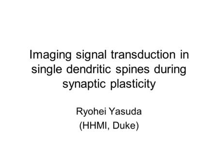 Imaging signal transduction in single dendritic spines during synaptic plasticity Ryohei Yasuda (HHMI, Duke)