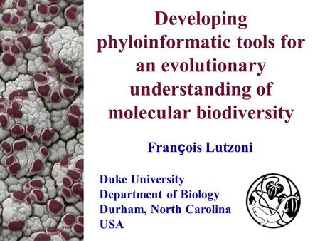 Developing phyloinformatic tools for an evolutionary understanding of molecular biodiversity Fran ç ois Lutzoni Duke University Department of Biology Durham,