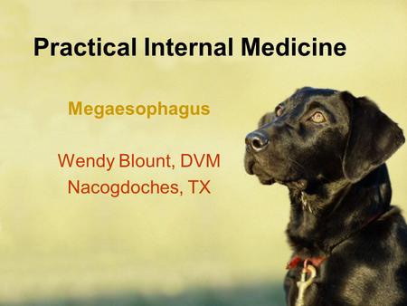 Practical Internal Medicine