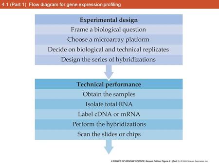 4.1 (Part 1) Flow diagram for gene expression profiling.