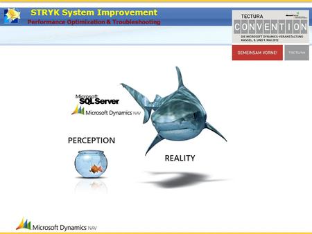 STRYK System Improvement. MS Dynamics NAV (Navision) since 1997 MS SQL Server since 2003 100% Focus on „NAV/SQL Performance Optimization“ STRYK System.