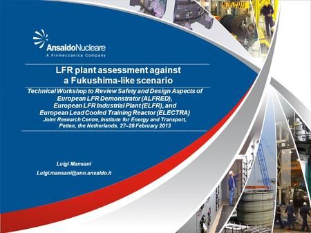 LFR plant assessment against a Fukushima-like scenario Technical Workshop to Review Safety and Design Aspects of European LFR Demonstrator (ALFRED), European.