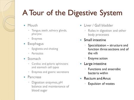 A Tour of the Digestive System Mouth ◦ Tongue, teeth, salivary glands, pharynx ◦ Enzymes Esophagus ◦ Epiglottis and choking ◦ Peristalsis Stomach ◦ Cardiac.