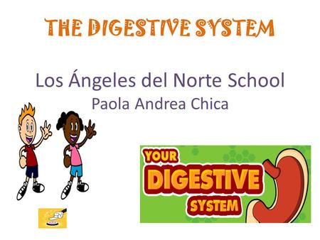 THE DIGESTIVE SYSTEM Los Ángeles del Norte School Paola Andrea Chica.