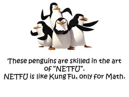 These penguins are skilled in the art of “NETFU”. NETFU is like Kung Fu, only for Math.