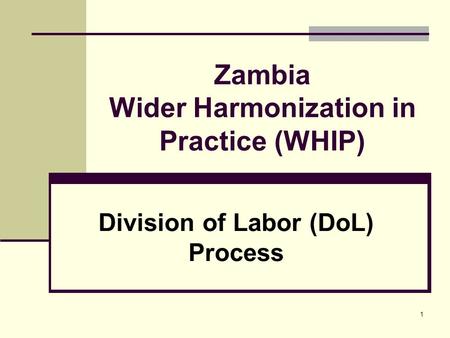 1 Zambia Wider Harmonization in Practice (WHIP) Division of Labor (DoL) Process.