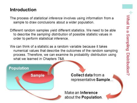 What Is a Sampling Distribution?