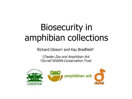 Biosecurity in amphibian collections Richard Gibson 1 and Kay Bradfield 2 1 Chester Zoo and Amphibian Ark 2 Durrell Wildlife Conservation Trust.