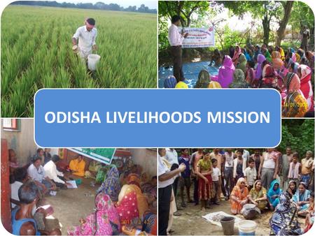 ODISHA LIVELIHOODS MISSION