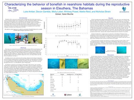 Characterizing the behavior of bonefish in nearshore habitats during the reproductive season in Eleuthera, The Bahamas Luke Amber, Devon Gamble, Molly.