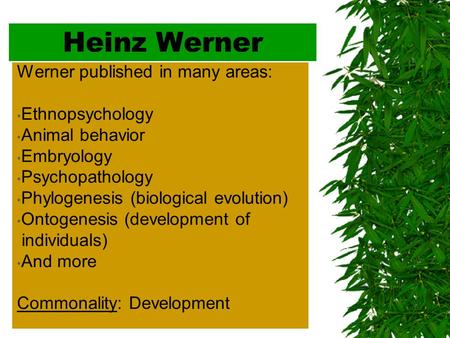 Heinz Werner Werner published in many areas: Ethnopsychology Animal behavior Embryology Psychopathology Phylogenesis (biological evolution) Ontogenesis.