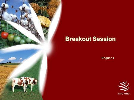 Breakout Session English I. Impact of Poor Coordination No notifications to the WTO Outdated information on NEP & NNA Lack of consistency of national.