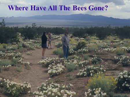 Where Have All The Bees Gone?. U.S. National Pollinating Insects Museum > 1 million specimens > 1 million specimens Approx. 70% databased Approx. 70%