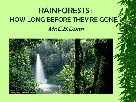 RAINFORESTS : HOW LONG BEFORE THEY’RE GONE ? Mr.C.B.Dunn.