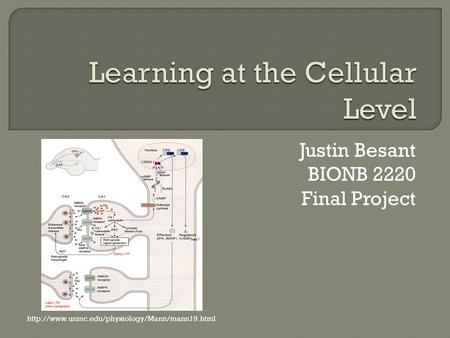 Justin Besant BIONB 2220 Final Project