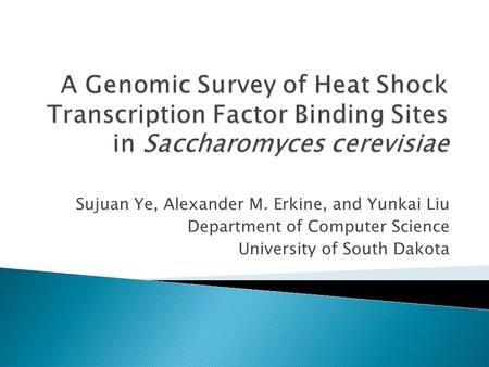 Sujuan Ye, Alexander M. Erkine, and Yunkai Liu Department of Computer Science University of South Dakota.