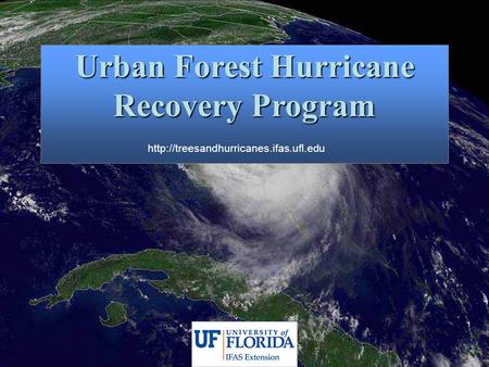 Urban Forest Hurricane Recovery Program