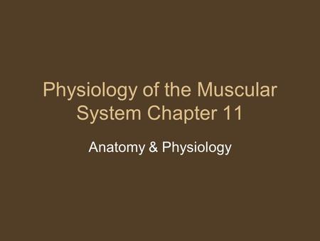 Physiology of the Muscular System Chapter 11