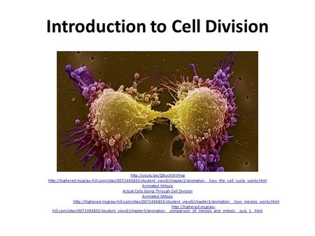 Introduction to Cell Division