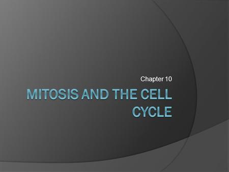 Mitosis and the Cell Cycle