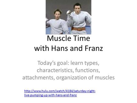 Muscle Time with Hans and Franz