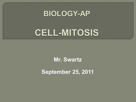 Mr. Swartz September 25, 2011. VISUAL REPRESENTATIONPOINTS TO CONSIDER  DNA has replicated, but has not formed the condensed structure of chromosome.