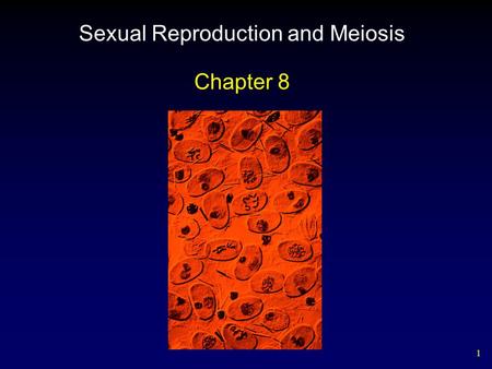 Sexual Reproduction and Meiosis