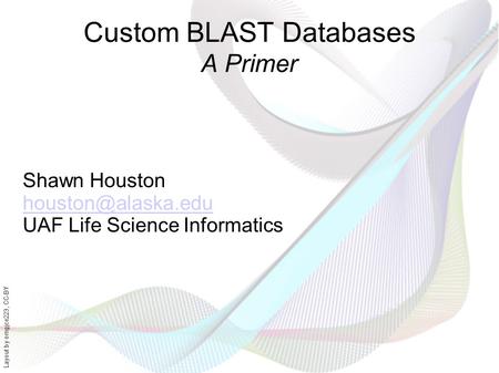 Layout by orngjce223, CC-BY Custom BLAST Databases A Primer Shawn Houston UAF Life Science Informatics.