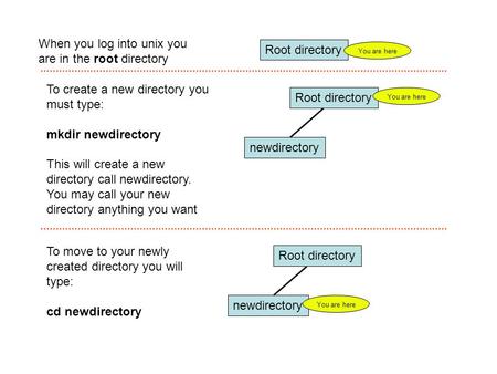 When you log into unix you are in the root directory Root directory To create a new directory you must type: mkdir newdirectory This will create a new.