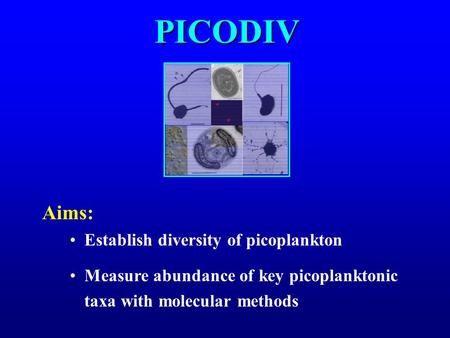 PICODIV Aims: Establish diversity of picoplankton Measure abundance of key picoplanktonic taxa with molecular methods.