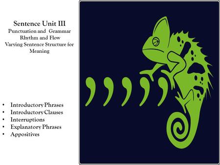 Introductory Phrases Introductory Clauses Interruptions Explanatory Phrases Appositives Sentence Unit III Punctuation and Grammar Rhythm and Flow Varying.