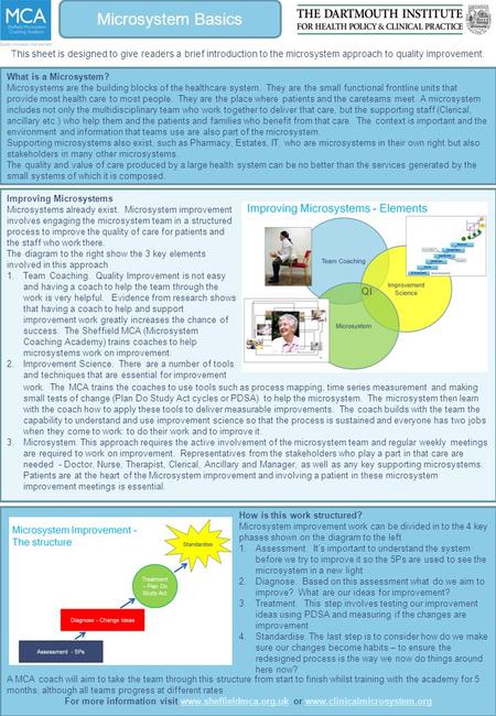 Microsystem Basics This sheet is designed to give readers a brief introduction to the microsystem approach to quality improvement. What is a Microsystem?