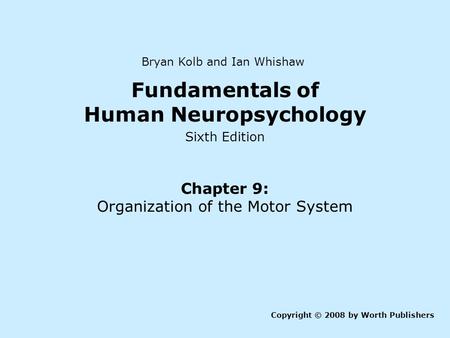 Fundamentals of Human Neuropsychology