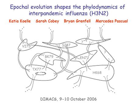 Katia Koelle Sarah Cobey Bryan Grenfell Mercedes Pascual Epochal evolution shapes the phylodynamics of interpandemic influenza (H3N2) DIMACS, 9-10 October.