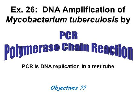 Ex. 26: DNA Amplification of Mycobacterium tuberculosis by PCR is DNA replication in a test tube Objectives ??