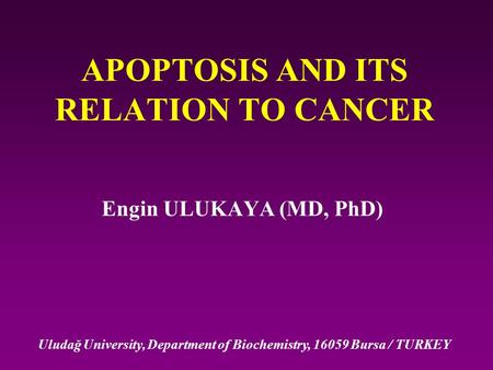 APOPTOSIS AND ITS RELATION TO CANCER Engin ULUKAYA (MD, PhD) Uludağ University, Department of Biochemistry, 16059 Bursa / TURKEY.