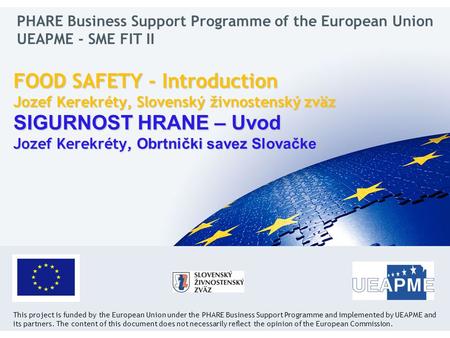 YOUR LOGO This project is funded by the European Union under the PHARE Business Support Programme and implemented by UEAPME and its partners. The content.