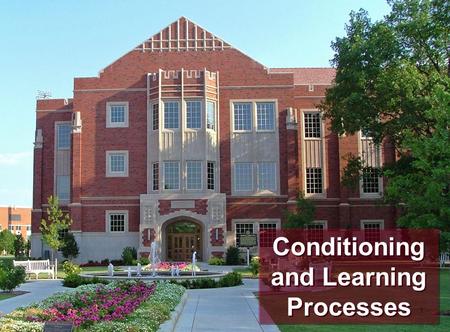 C9 - 1 1 Conditioning and Learning Processes. C9 - 2 2.Instrumental or Operant Conditioning Process of altering the probability of a behavior being emitted.