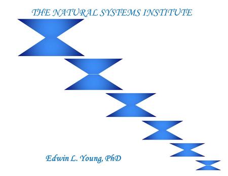 Edwin L. Young, PhD THE NATURAL SYSTEMS INSTITUTE.