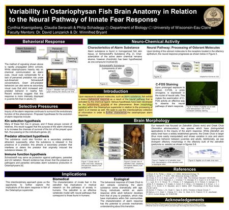Cynthia Koenigsberg, Claudia Seravalli & Philip Schadegg Department of Biology University of Wisconsin-Eau Claire Upon exposure to odorant molecules, such.