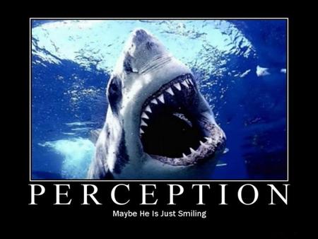 1Organizational Behavior / Perception. “ WE DON’T SEE THINGS AS THEY ARE, WE SEE THINGS AS WE ARE.”