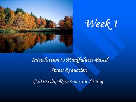 Introduction to Mindfulness-Based Stress Reduction Cultivating Reverence for Living Week 1.