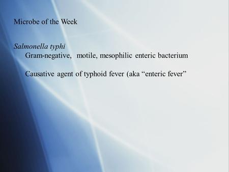 Microbe of the Week Salmonella typhi Gram-negative, motile, mesophilic enteric bacterium Causative agent of typhoid fever (aka “enteric fever”