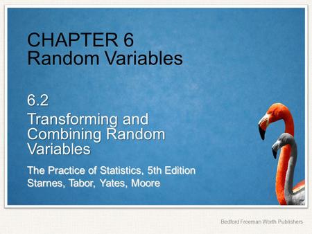 CHAPTER 6 Random Variables