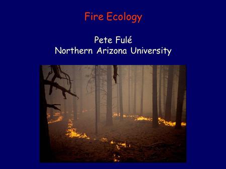 Fire Ecology Pete Fulé Northern Arizona University.